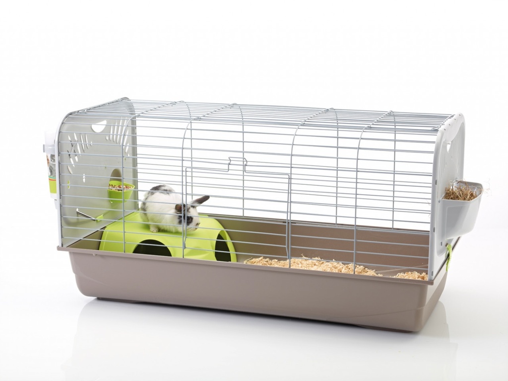 Kooi "Caesar 3 Knock Down"