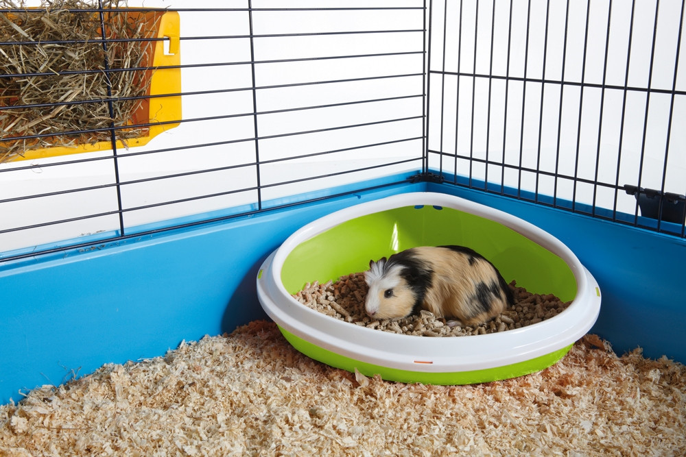 Hoektoilet "Concha" medium 36 x 26,5 x 15,5 cm Mix kleuren