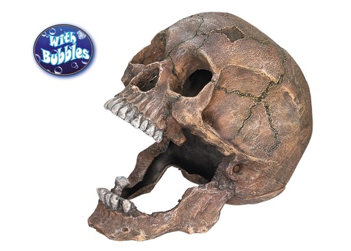 [NB28101] Aquaornamenten "SCULL" L13,5 x B20 x H16,5 cm 