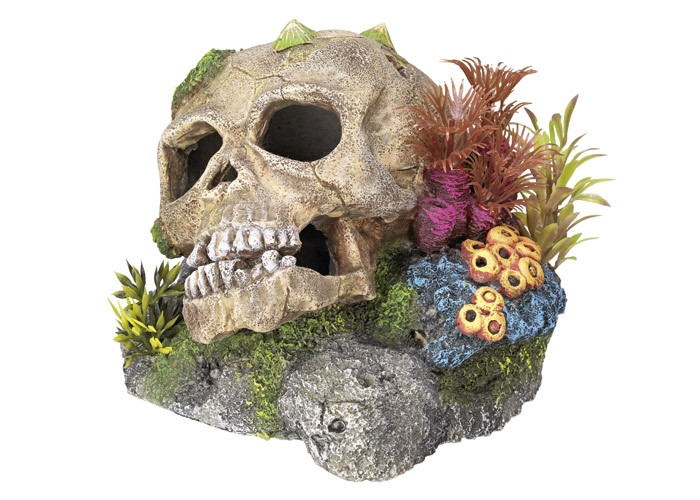 Aqua ornamenten "SCULL" - met planten L13,5 x B13,5 x H10,5 cm 