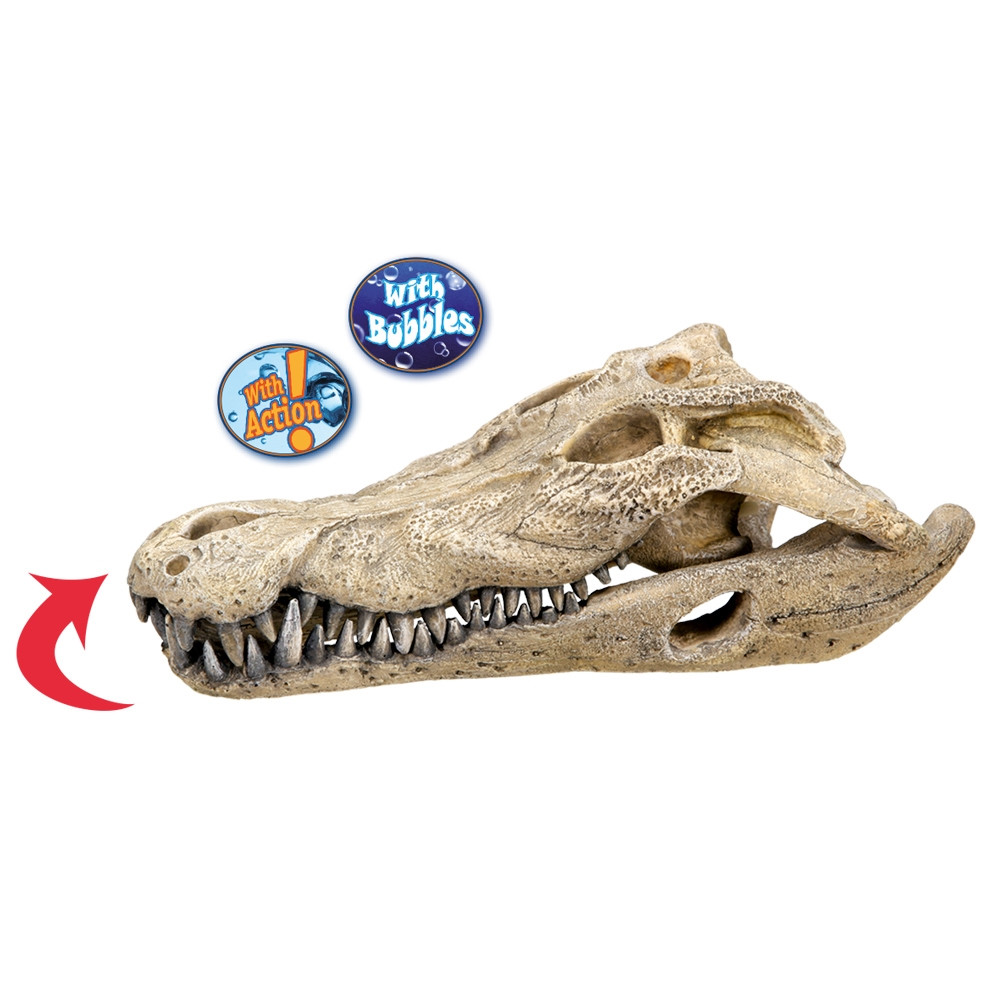Aqua Ornamenten "KROKODILLENSCULL" L26 x B14 x H9 cm 