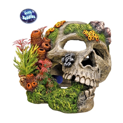 [NB28135] Aquaornamenten "SCULL" L19,5 x B16 x H14 cm 