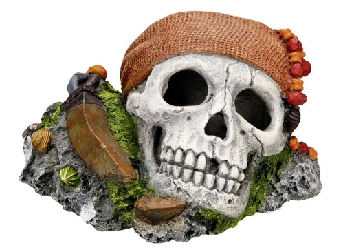 [NB28146] Aquaornamenten "PIRATENSCULL" L14,5 x B12,5 x H8,5 cm 