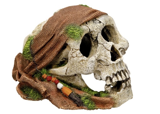 [NB28147] Aquaornamenten "PIRATENSCULL" L17,5 x B13,8 x H11,2 cm 