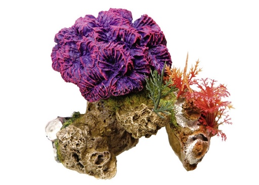 [NB28175] Aqua Ornamenten "CORAL STONE" met planten L13 x B10 x H12 cm 