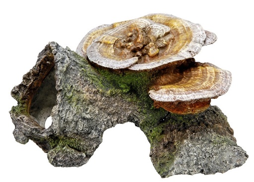 [NB28274] Aqua Ornamenten "HOUTEN GROT MET PADDESTOELEN" L18 x B19 x H10 cm 