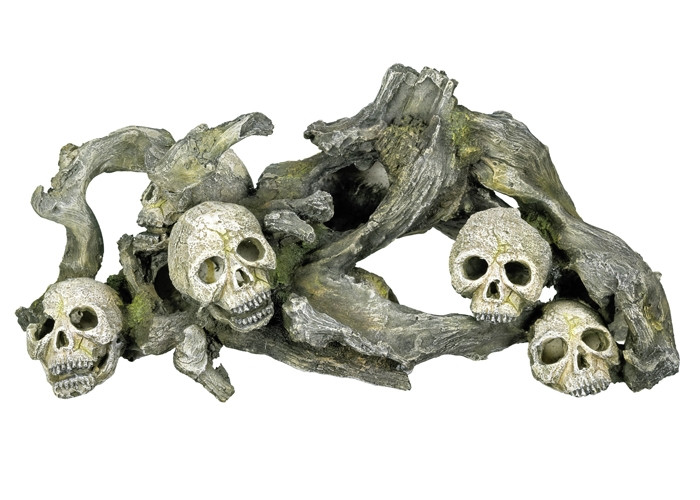 Aqua Ornamenten "HOUT MET SCHEDELS"