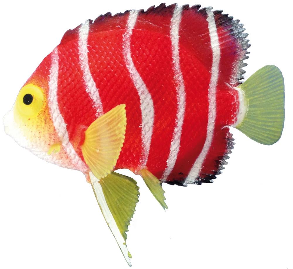 Fantasiedecor "SKALAR"