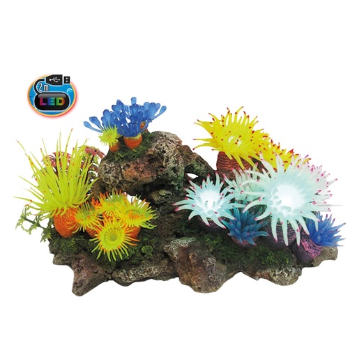 [NB28597] Aquaornamenten "APLYSINA" met planten, met LED 27,7 x 14,3 x 14,0 cm 