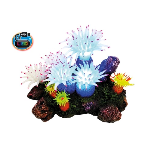 [NB28598] Aquaornamenten "APLYSINA" met planten, met LED 16,5 x 12,0 x 11,0 cm 