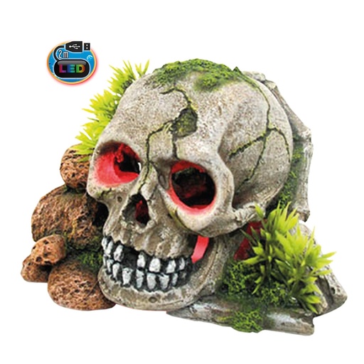 [NB28604] Aqua Ornamenten "SKULL" met planten, met LED 15,5 x 13,3 x 9,5 cm 
