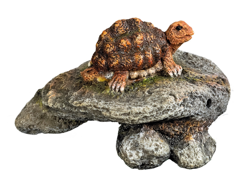 Aqua Ornamenten "ROTS MET SCHILDPAD" 