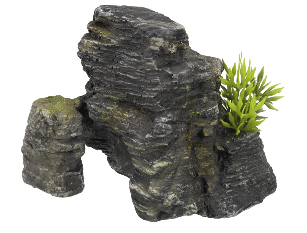 Aqua Ornaments "ROCK" met planten 