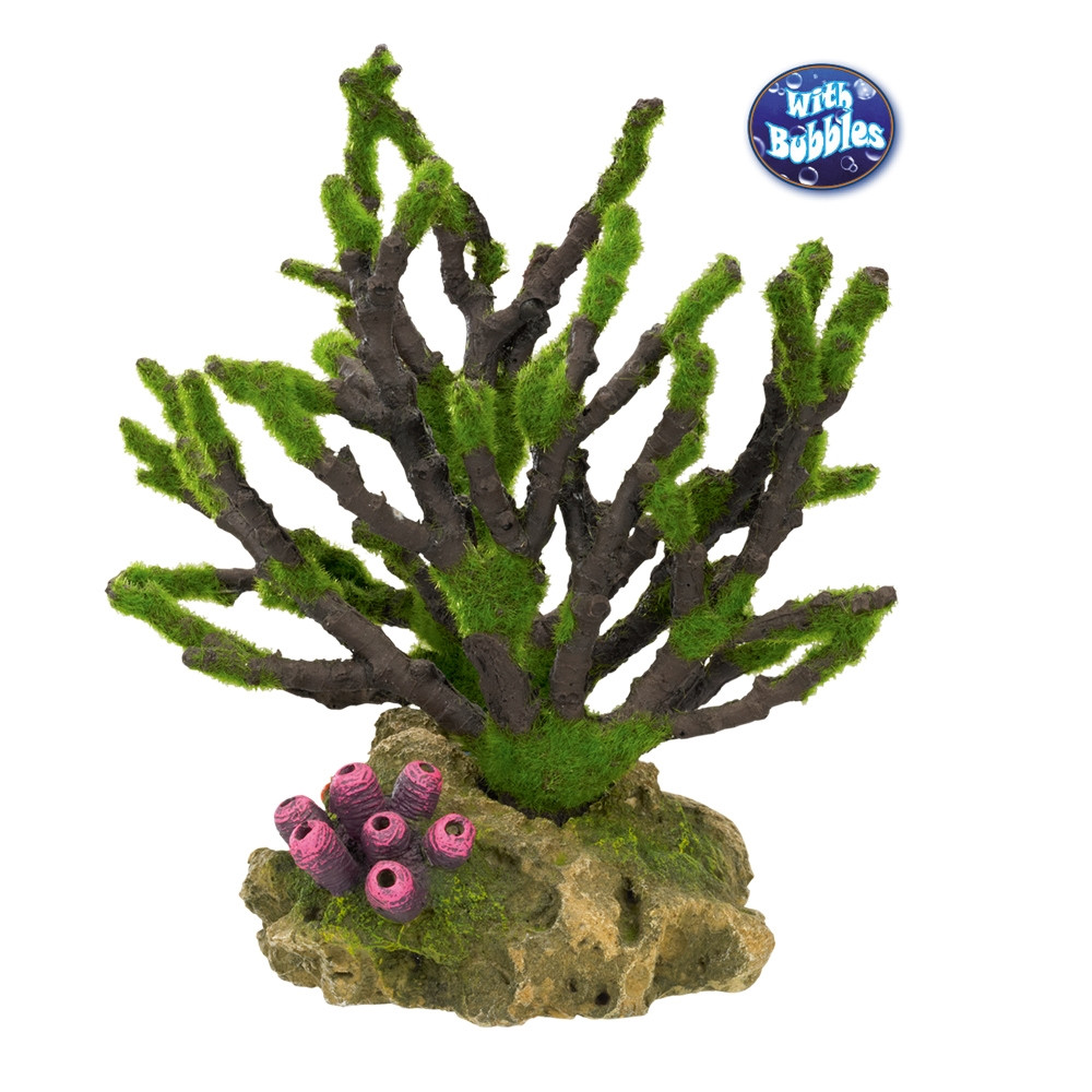 Aqua Ornamenten "KORAAL" - met mos 