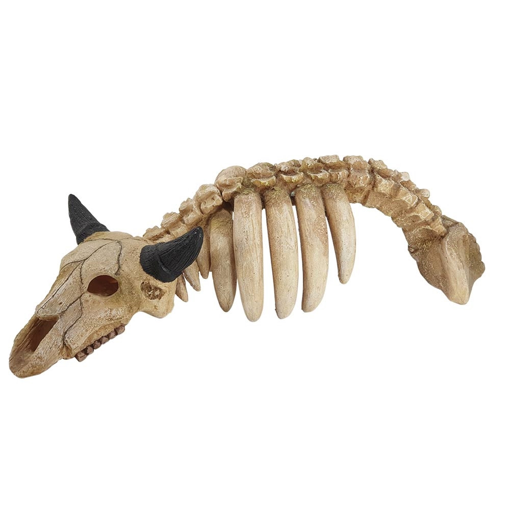 Aqua Ornamenten "DIEREN SKELET"
