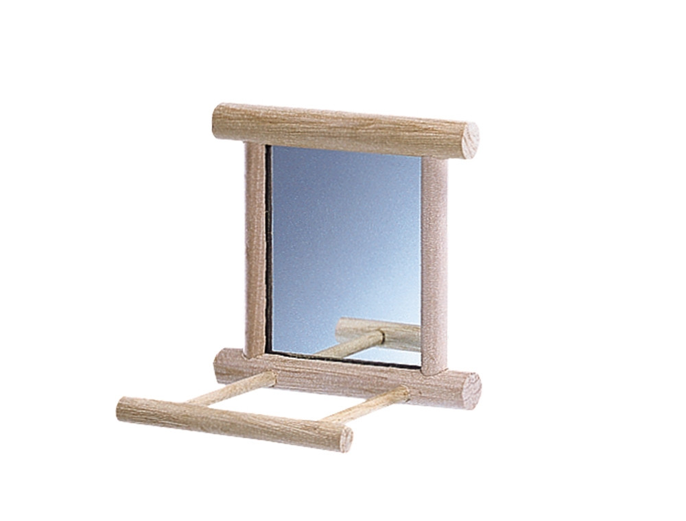 Spiegel met landingsplaats 10 x 10 cm 