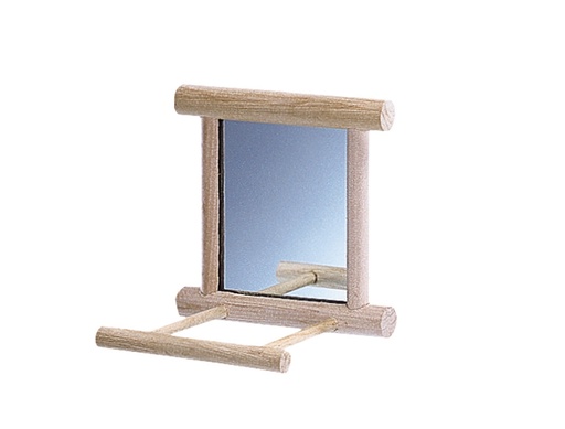 [NB31517] Spiegel met landingsplaats 10 x 10 cm 
