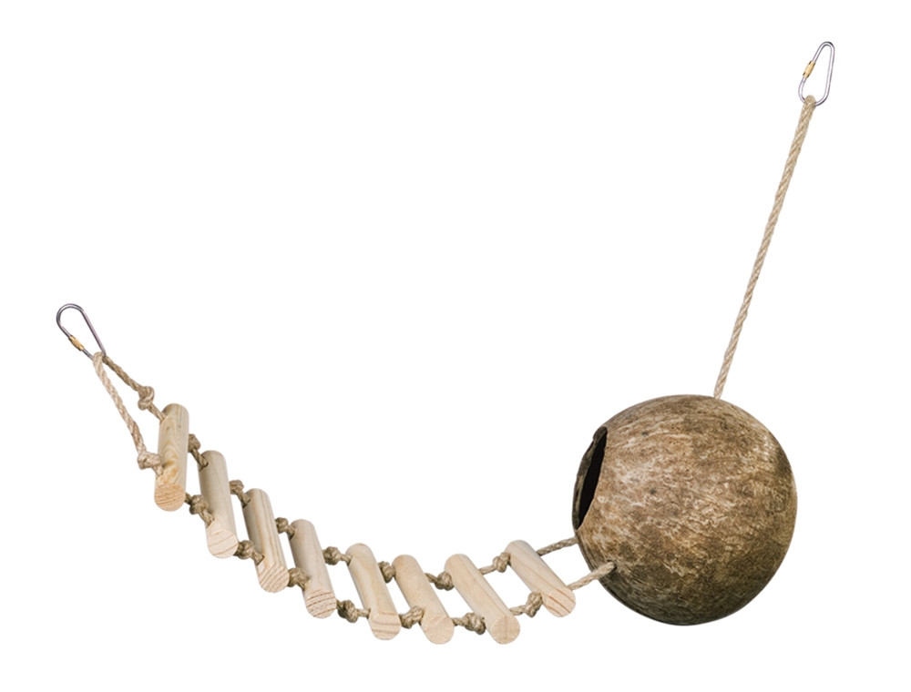 Kokoshuis met ladder