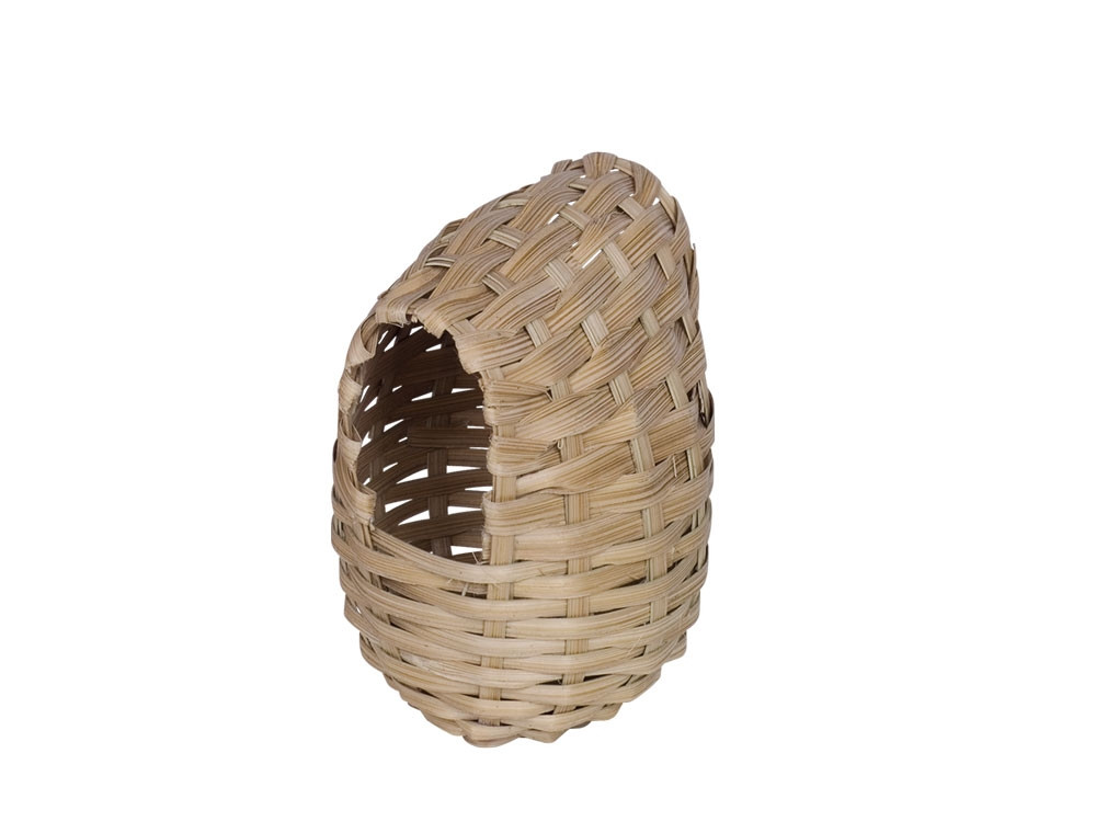Exotisch nest