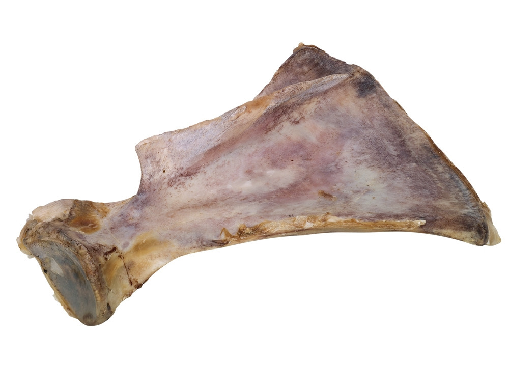 Gedroogd rundvleesblad 28-33 cm 