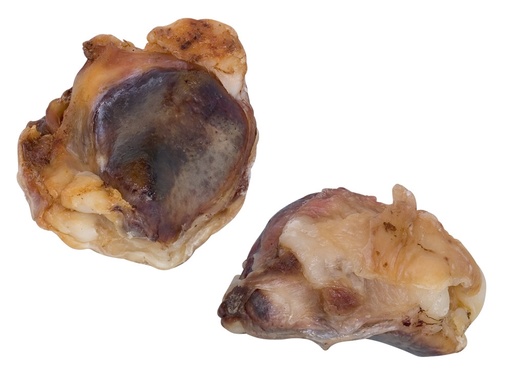 [NB50777] Gedroogde Rundvlees Knieschijf