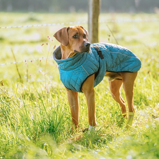 [NB51507] Hondenjas "YAKA" 60 cm petrol