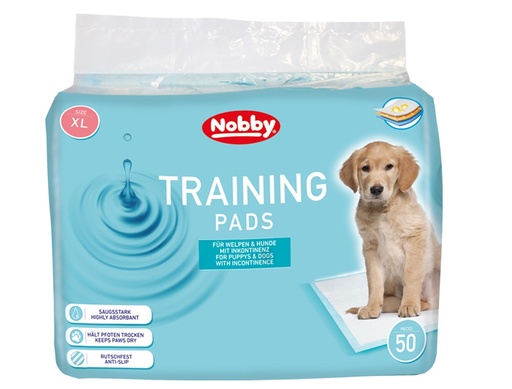 [NB57159] Trainingskussens