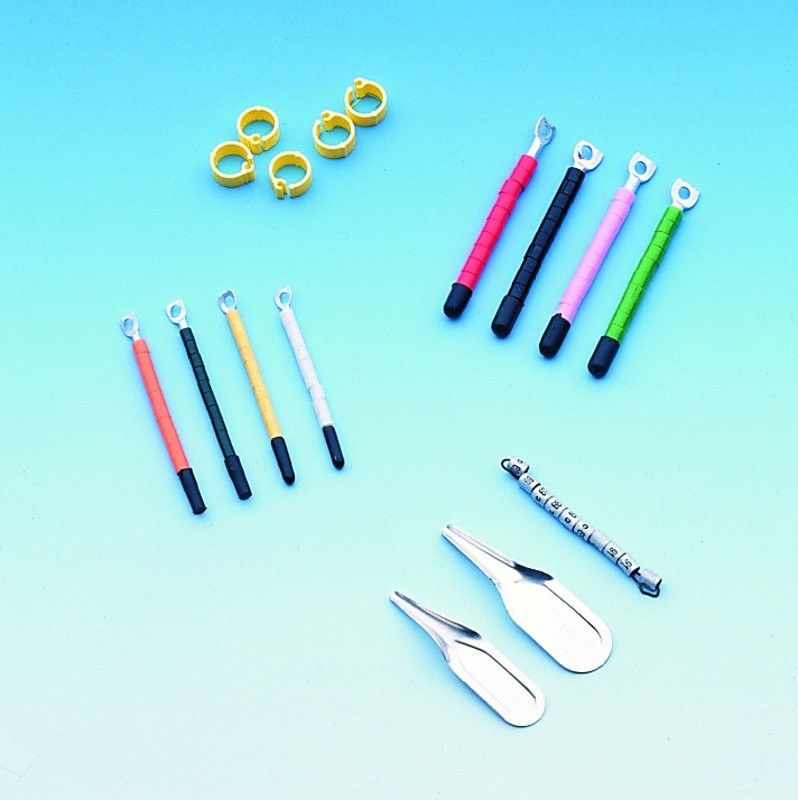 Jaarringen 2021 voor kanaries strip 50 stuks; 3,0 mm 