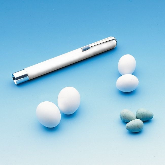 Eieren leggen voor kanaries Zak 100 stuks 