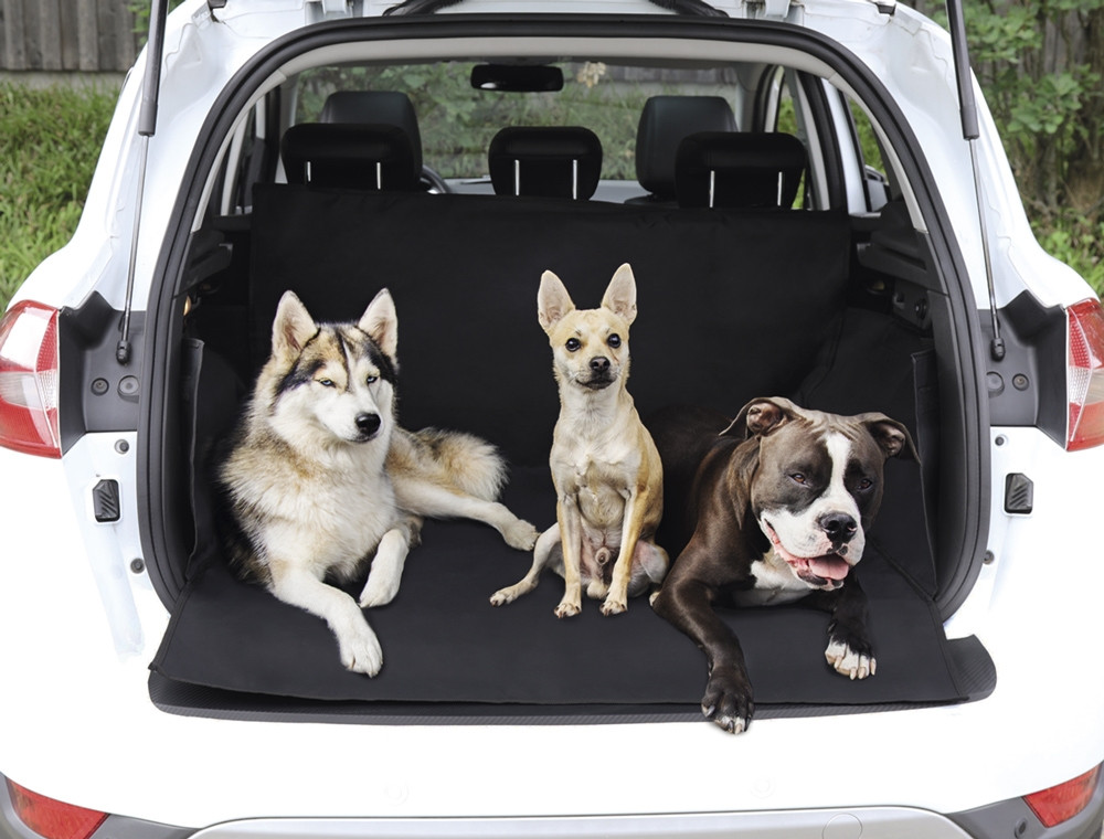 Bescherming kofferbak b x d: 173 x 153 cm 