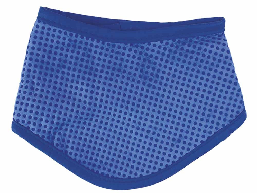 Huisdier ijsbandana S: 18-30 cm 