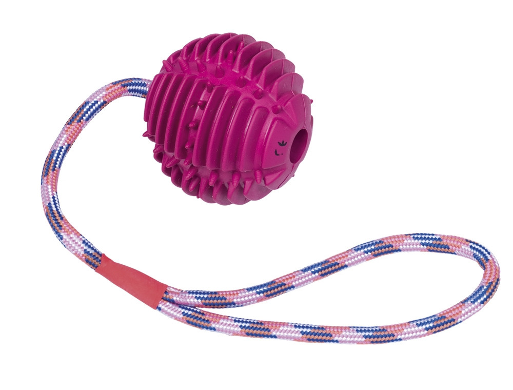Rubberen bal met touw ball: 7,5 cm; rope: 30 cm paars