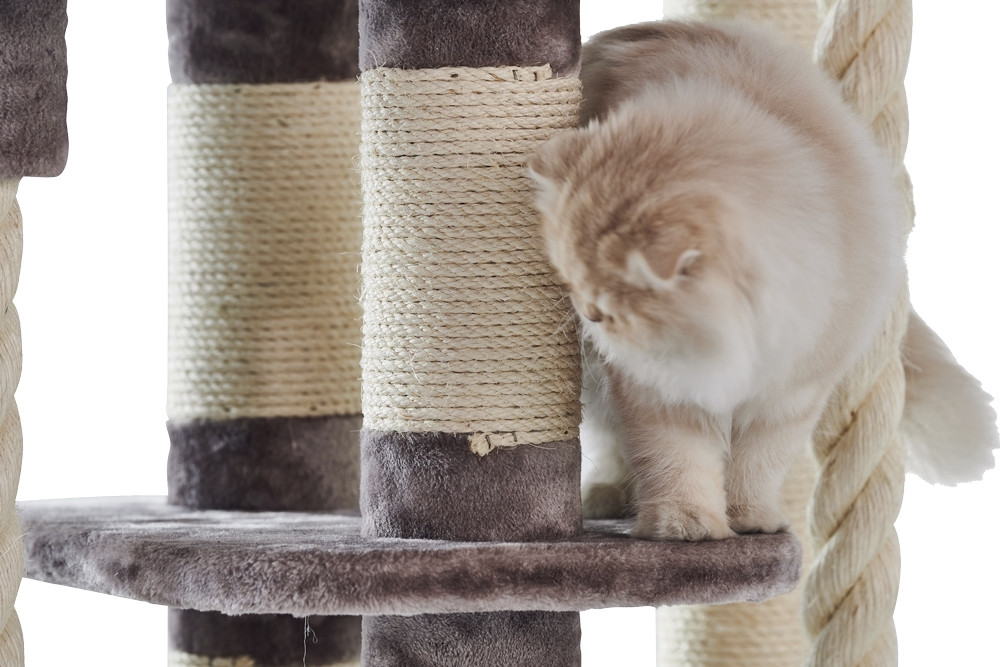 Kattenkrabber "KYLA"  cream