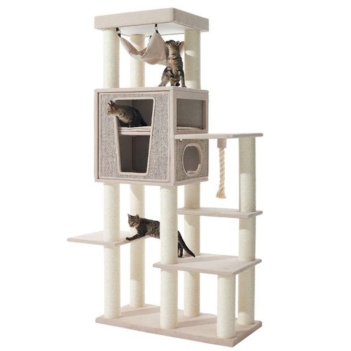 [NB6376286] Kattenkrabber "KASIL"