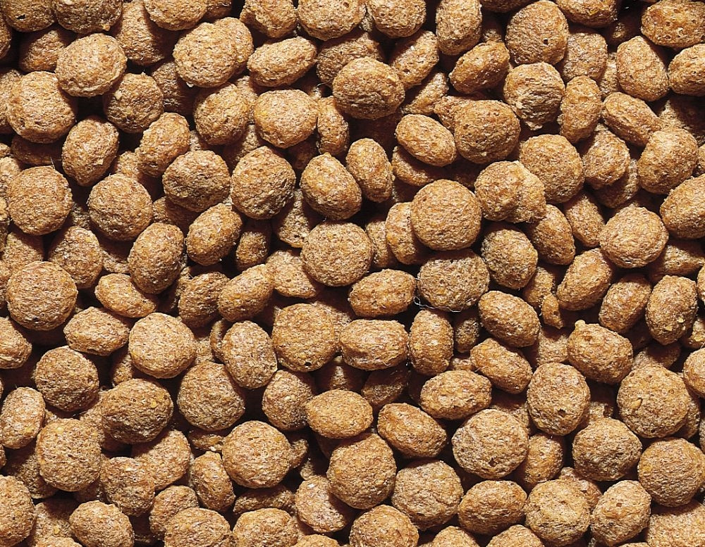 Koi-lenzen Zak 3000 ml 