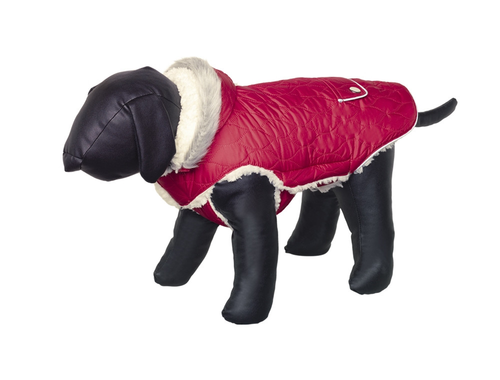 Hondenjas "POLAR"