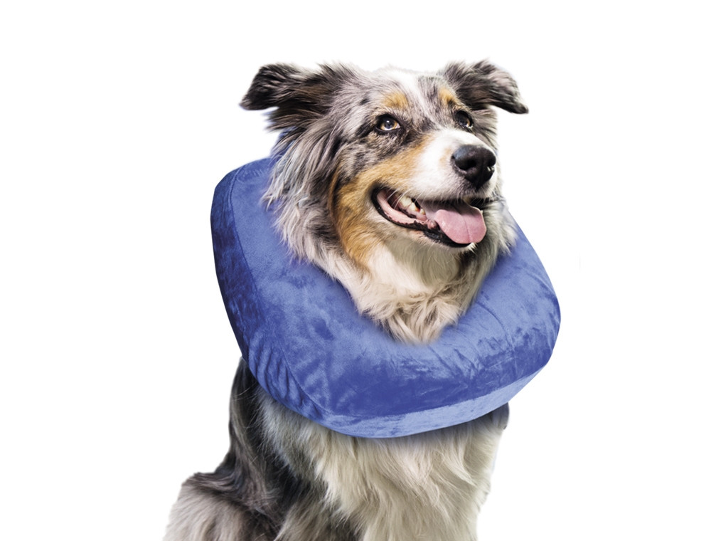 Beschermkraag medium