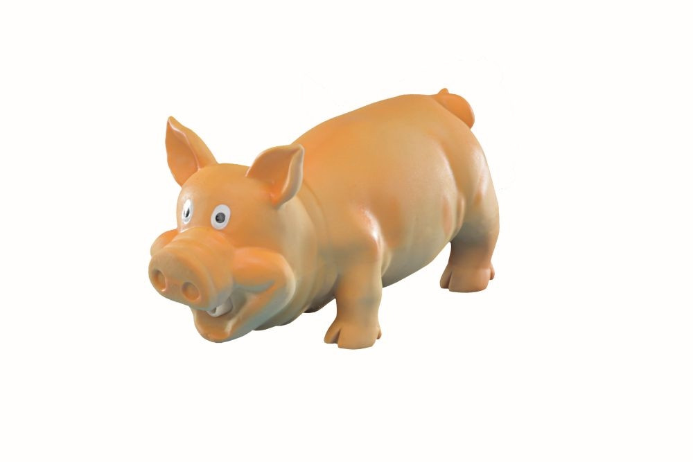 Latex varken