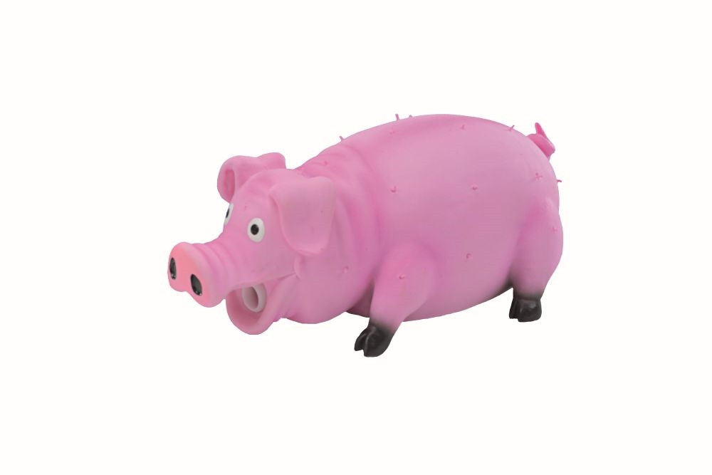 Latex varken