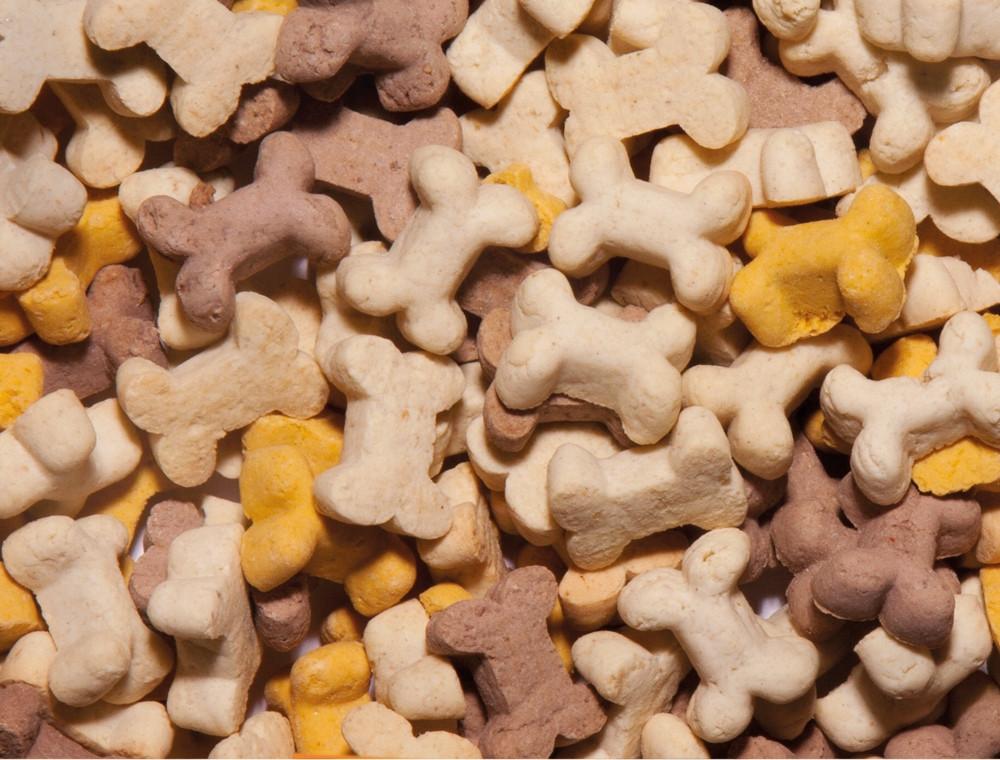 StarSnack Koekjes Puppy emmer 1,3 kg 