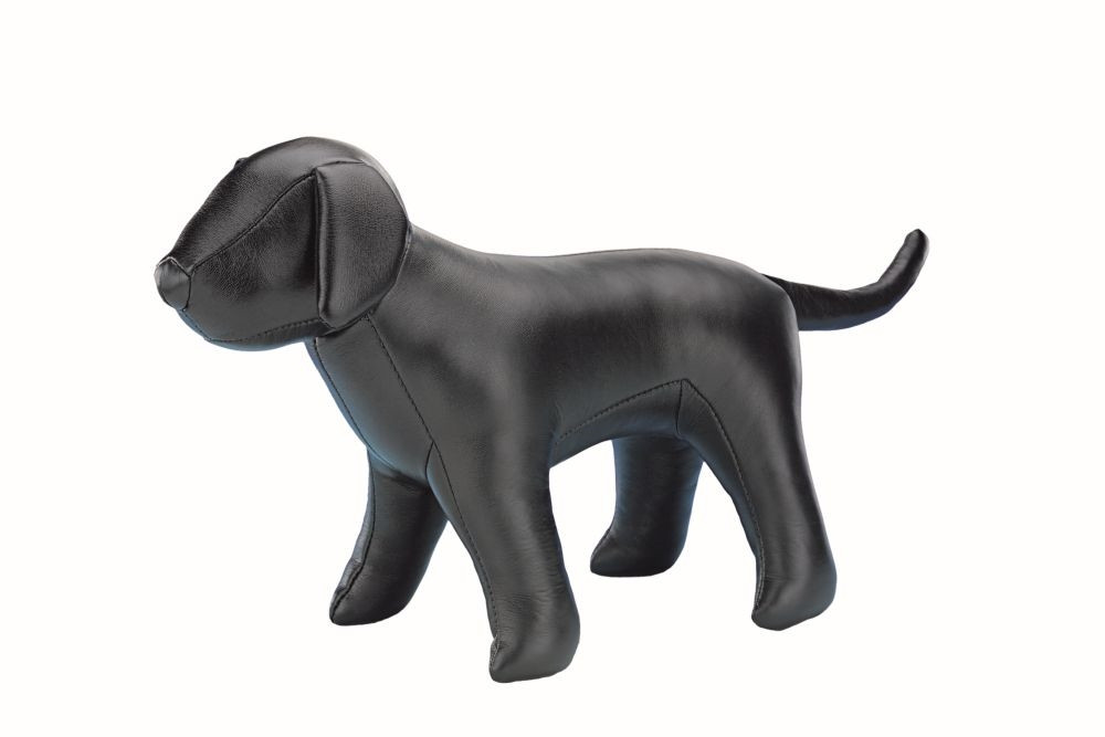 Hond voor presentatie 25 x 30 cm zwart