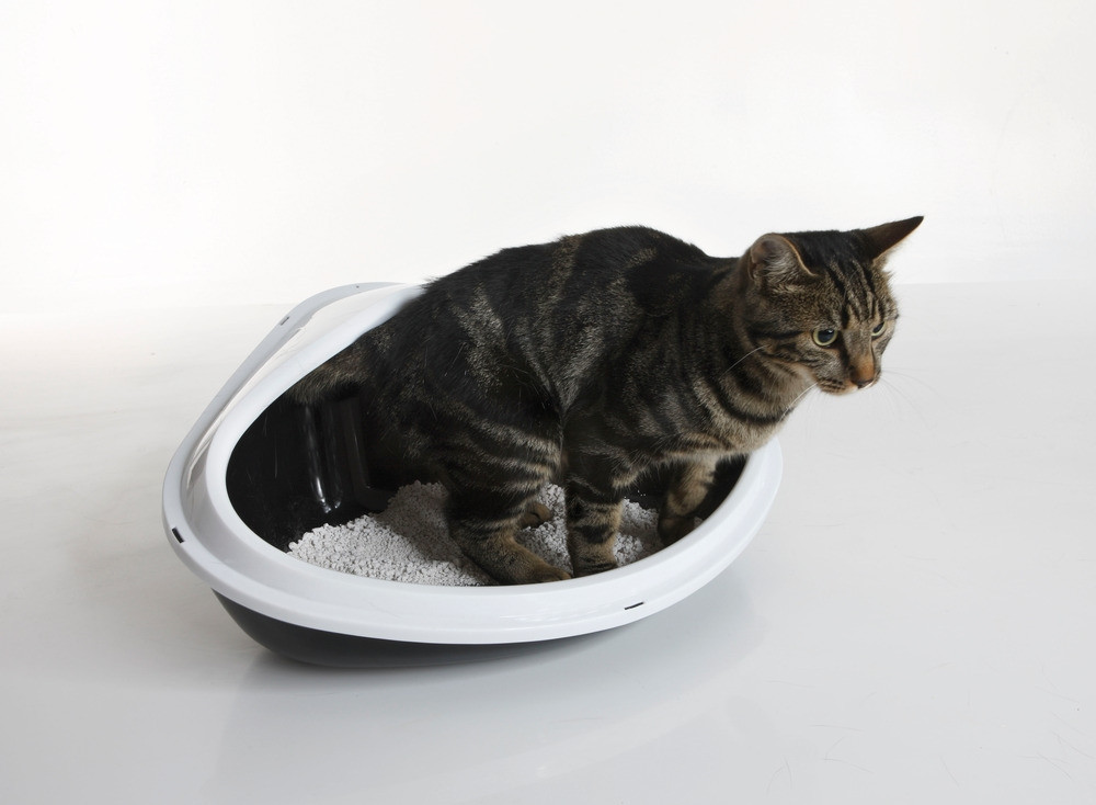 Hoektoilet "Concha" XL 51 x 38 x 22,5 cm Mix kleuren