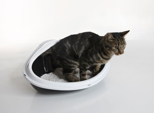 [NB72051] Hoektoilet "Concha" XL 51 x 38 x 22,5 cm Mix kleuren