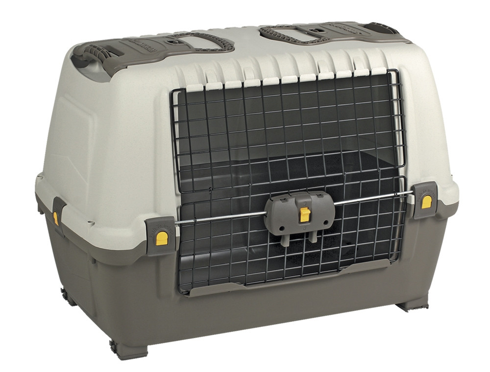 Autokist "Skudo Auto 100"