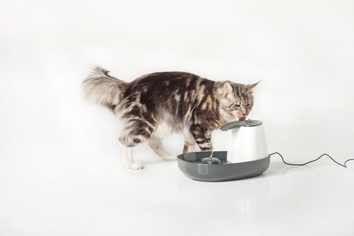 [NB72144] Drinkfontein "Cascade" 1,5 l; 34 x 28 x 17 cm 