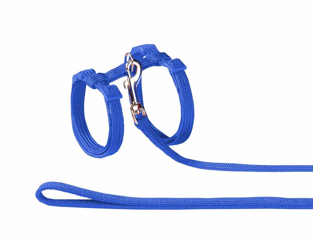 Kattenset nylon  blauw