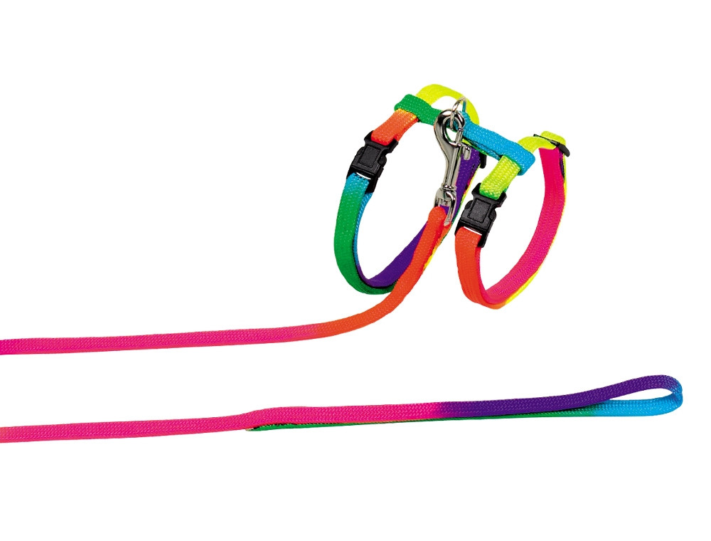 Kattenset  rainbow colour