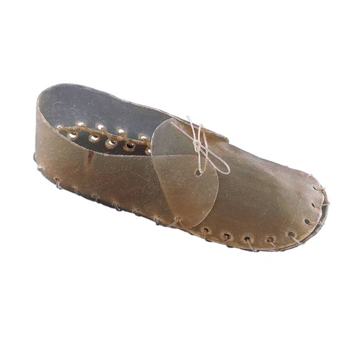 [NB72432] Schoenen kauwen