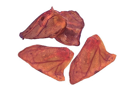 Varkensoren