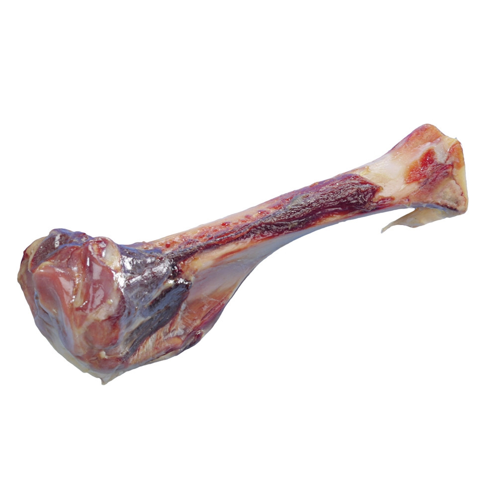 Italiaans hambot  17 cm 